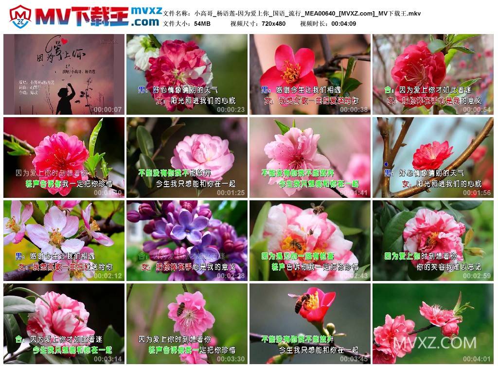 小高哥_杨语莲-因为爱上你_国语_流行_MEA00640